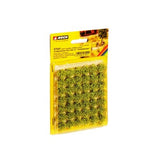 Noch 07041 Graspollen MiniSet XL Veldbloemen
