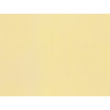 Noch 61191 Acrylverf Mat, Ivoor