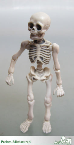 Prehm 550207 Skelet